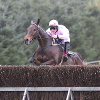 01 Abbey Grey & R James - winner (7, pink, grey stars) - FT8E0590-32