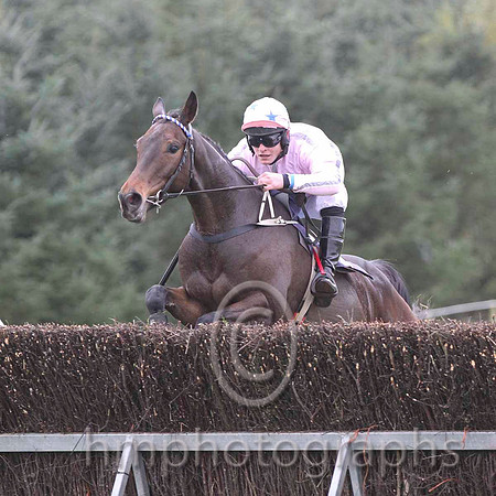 01 Abbey Grey & R James - winner (7, pink, grey stars) - FT8E0590-32