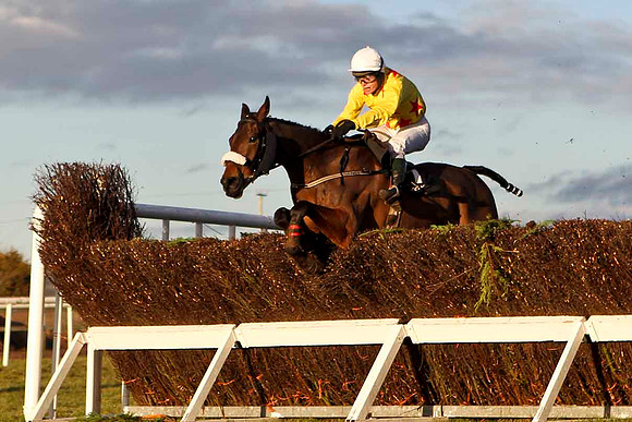 Hidden Crack (Yellow)  - Winner, Jockey S E Butler - CU2D3249-e2CU2D3261-e