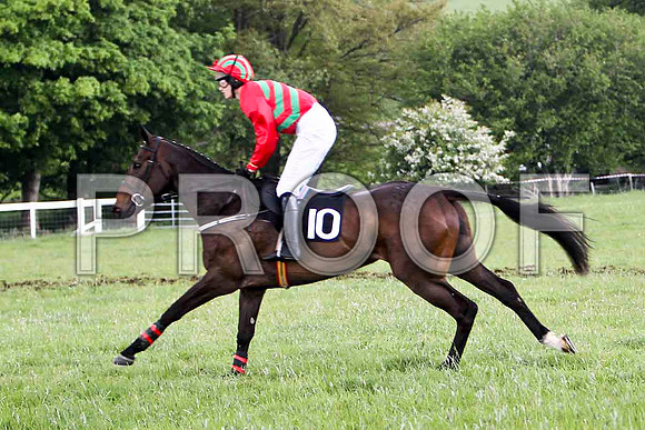 Educated Guess , 7th, Jockey Ms C V Annan  - FT8E2571-e