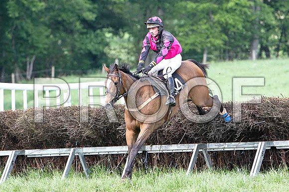 Fifth Race Div 2 - Muireads Girl (34) 5th, Rider J J Gault - CU2D9734-e