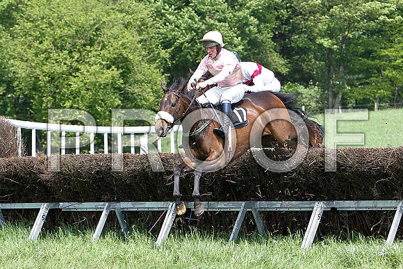 First Race - Spice Hill (17) Winner, Rider JD Moore- CU2D9526-e