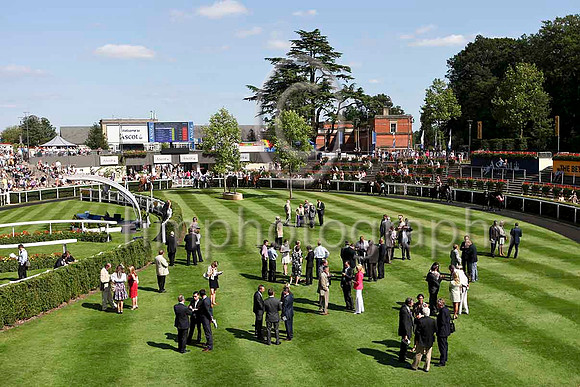 R4 - Ascot Parade Ring - IMG_9935-e