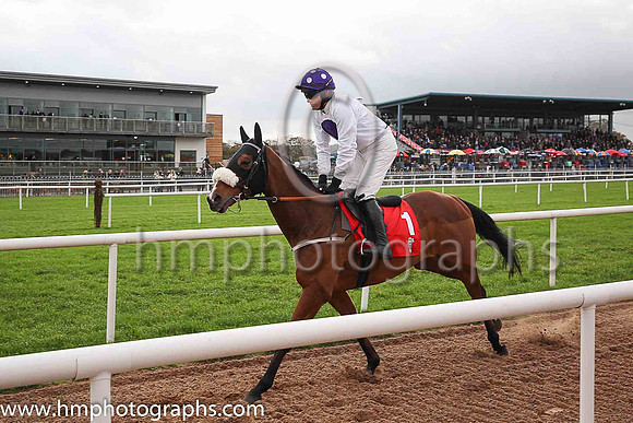 04th My Manekineko and P Townend ( 1 , white, purple disc ) Trainer - J Nash , Owner - Ka Hon Tham