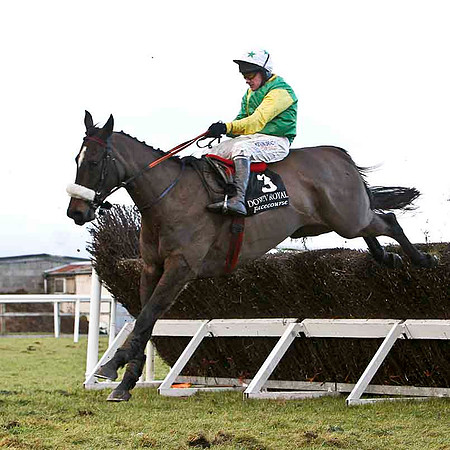 Cayo Levantado 7th, Jockey P Carberry -FT8E9978-e