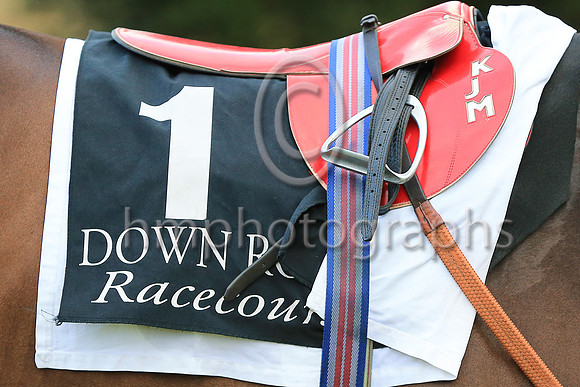 Kevin Manning's saddle at Down Royal in Her Majesty's Plate Stakes