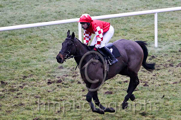 Bobdahooligan 10th, Jocket Ms L O'Neill - CU2D2196-e