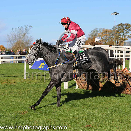 05th Tout Est Permis and M A Enright ( 12 , maroon, white star ) Trainer - M F Morris , Owner - Gigginstown House Stud