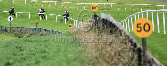 01st Soldiers Hill and D N Russell ( 1 , white, green chevrons ) Trainer - G Elliott , Owner - Noel Moran  Mrs Valerie Moran