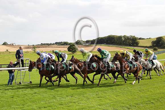 The start of the Molson Coors Handicap Hurdle at Downpatrick Races won by Tranquil Magic and J J Slevin ( 4 , white, blue stars ) Trainer - C Bowe , Owner - J J Devaney