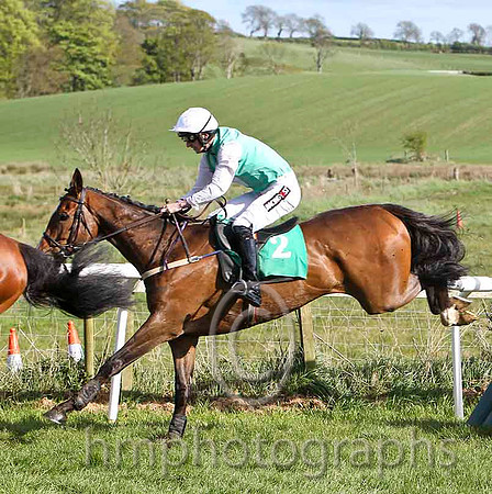 Perfect Gentleman & Mr P W Mullins - 4th (2, emerald green, pink diamond and sleeves) - FT8E3210-e