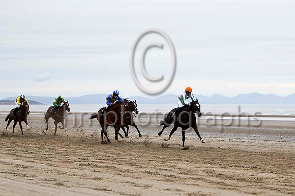 Curl Cat ,Winner in the lead, Jockey Mr M P Fogarty -FT8E4273-e2