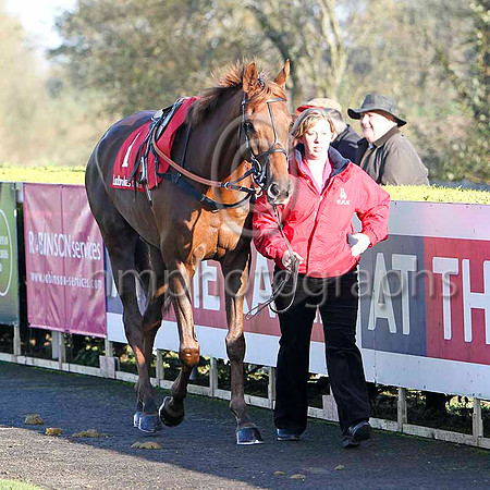 Kauto Stone , Winner , Jockey P Carberry - FT8E7023-e