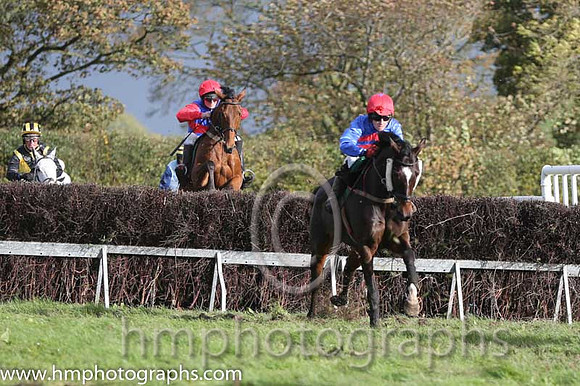 04 BetheHolyMan and R Deegan - - 04th (4 ,royal blue, red chevron ) Trainer - Anna Gaul