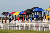 The Betting Ring - FT8E1011-e