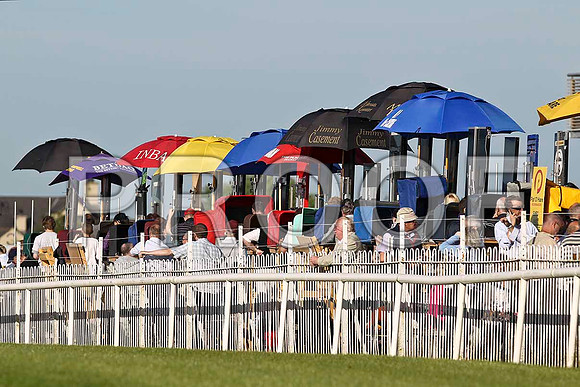 The Betting Ring - FT8E1011-e