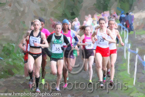 Fionnuala Bitton - FT8E2443-Edit-1