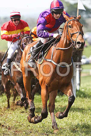 Third Race - Tammies John (14) PU, Rider N McParlan & Cilliseal (5) 4th, Rider M J O'Hare - CU2D9590-e