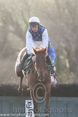 08 Diamond Gesture & P T Enright - 8th (4, royal blue and black check) - FT8E1241-66