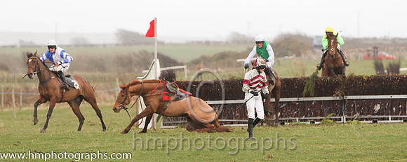 02 Lady Wilton Milan & B O'Neill - 2nd (2, royal blue and white halvd ) &08 South Circle & Ms R Blackmore - Fell (5, grey, maroon chevrons) - FT8E3224-Edit-73