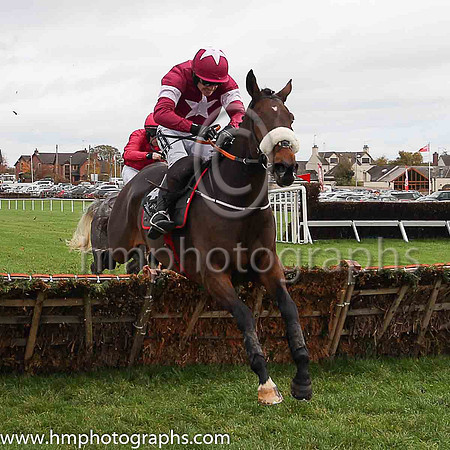 01st Monbeg Notorious and R Walsh ( 4 , maroon, white star ) Trainer - G Elliott , Owner - Gigginstown House Stud
