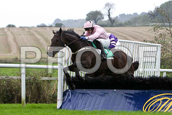 King of Aran , winner - Jockey - P Townend - FT8E5156-e2