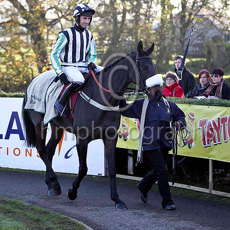 Midnight Chase Fell, Jockey D C Costello -  FT8E6978-e
