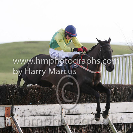 01 Mr Bolt  D H Lavery - Trainer : Sean McParlan, Black and tan check