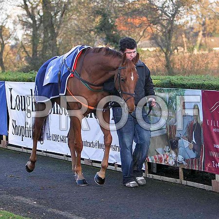 Big Generator - 2nd , Jockey Mr B O'Neill - FT8E7276-e