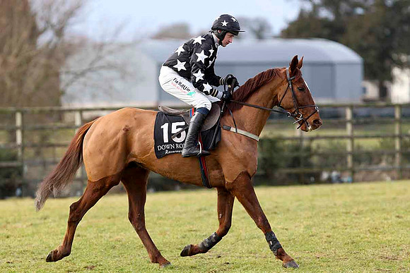 Western Star - 13th - Jockey R Loughran - CU2D3147-e