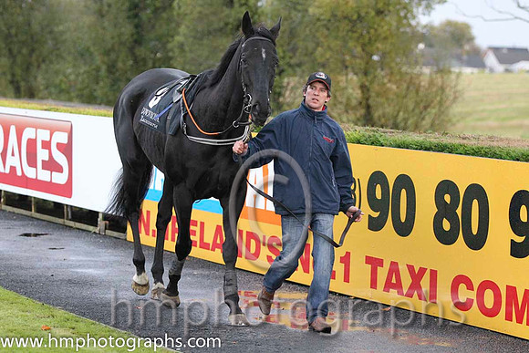 02 Kilcommon Pride & M Darcy - 2nd (8, emerald green , red star) - FT8E0436-7