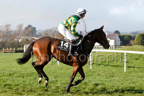 Down Under - 3rd , Jockey - M P Walsh - FT8E6856-e