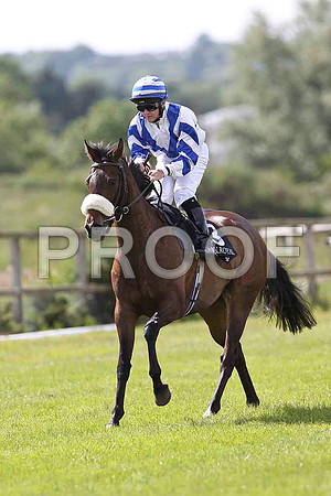 Sinntorina 8th, Jockey  G F Carroll - FT8E1558-e