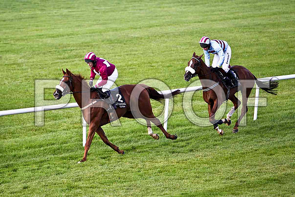 Georgie 4th, Jockey T G M Ryan ,& Soldier Bay 5th, Jockey A E Lynch - CU2D2036-e