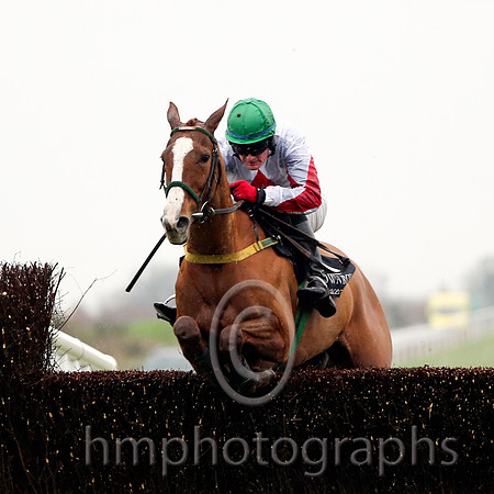R1  Down Ace and Ger Fox - - 01st (6 ,white, red diamond ) Trainer - Noel Meade