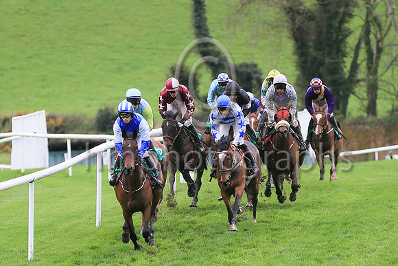 Racing at Downpatrick -The ITBA Supporting Northern Breeders Mares Handicap Hurdle