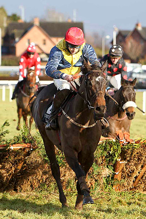 Strategic Alliance 9th, Jockey K T Coleman - FT8E9930-e