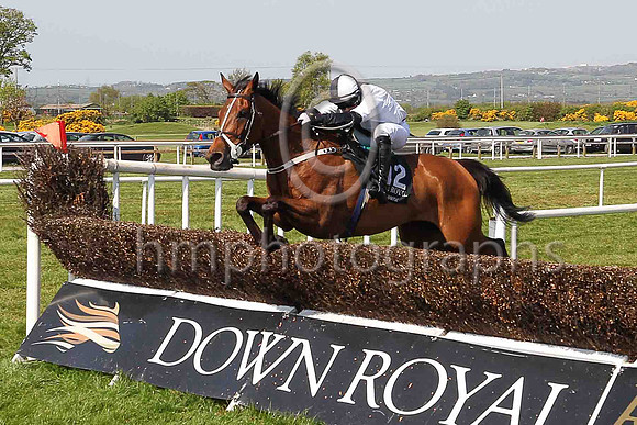 07th Galloping Anger and R P Treacy ( 12 , white, black panel ) Trainer - Matthew J Smith , Owner - Kevin John Smith