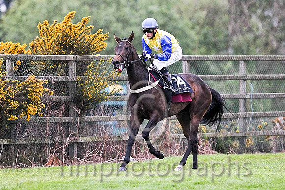 R7 - Notgonnagiveup 11th, Jockey D P McDonogh - FT8E0621-e