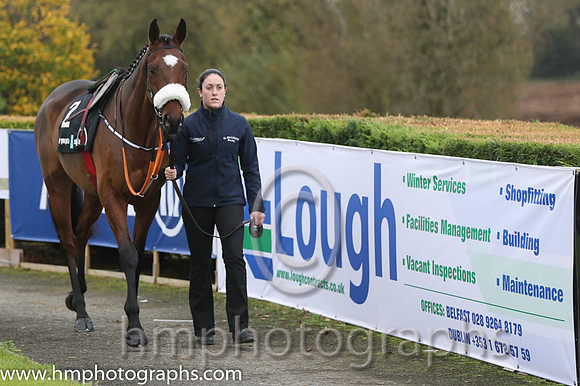 07 Tiger Roll and B J Cooper - PU - 07th (2 ,maroon white star ) Trainer - G Elliott