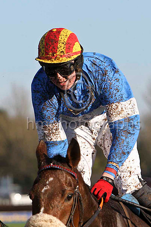 Experimentalist 2nd - Jockey K M Donoghue - FT8E6435-e