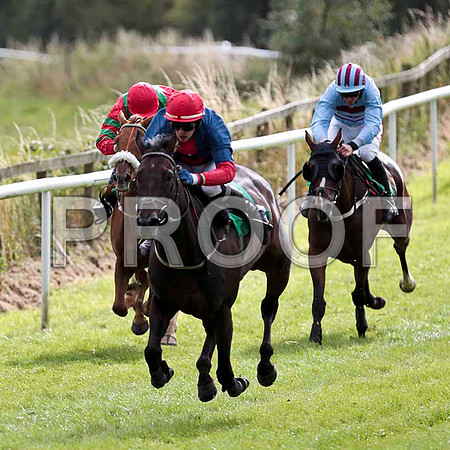Breeze With Ease - 6th , Jockey P Townend -  CU2D9443-e