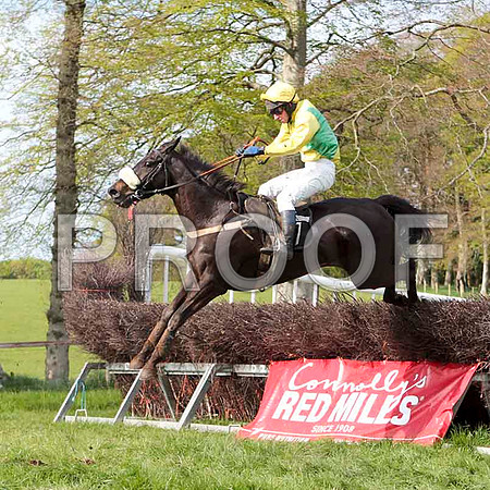 Fayebay , 4th, Jockey - N McParlan - CU2D4680-e