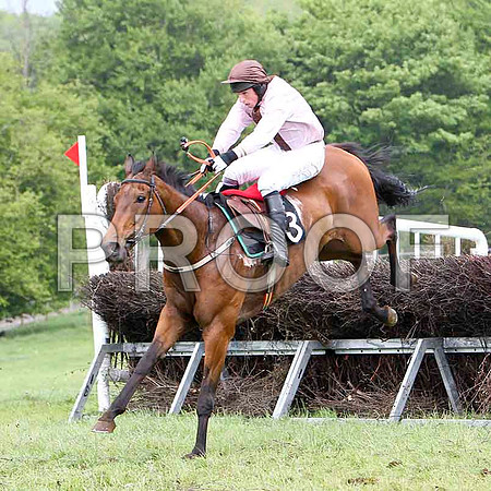 Aces or Better, 2nd, Jockey J J Codd - FT8E2539-e