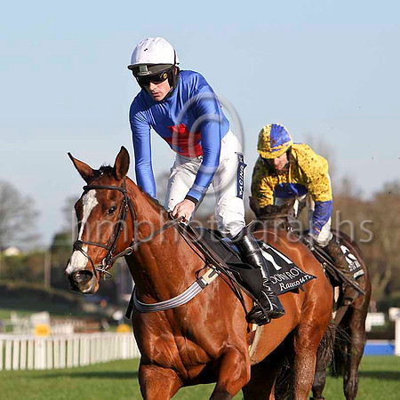 Mac Tigue , 8th - Jockey R Walsh -FT8E6444-e