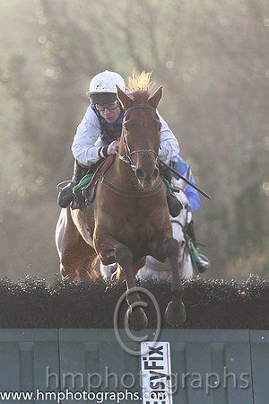 08 Diamond Gesture & P T Enright - 8th (4, royal blue and black check) - FT8E1239-64