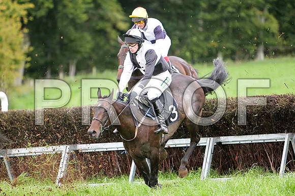 Bravo Riquet (3) winner & Ballyness 3rd - CU2D2549-e
