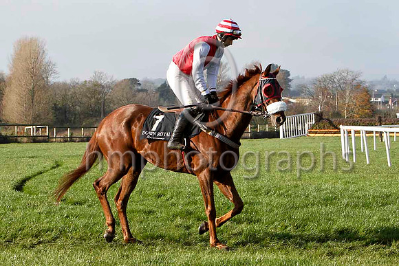 Mr Pernickety 6th , Jockey - T J Doyle - FT8E6846-e
