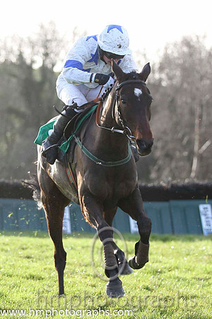 03 Definite Elegance & D G Hogan - 3rd (3, white, royal blue stars) - FT8E1229-55