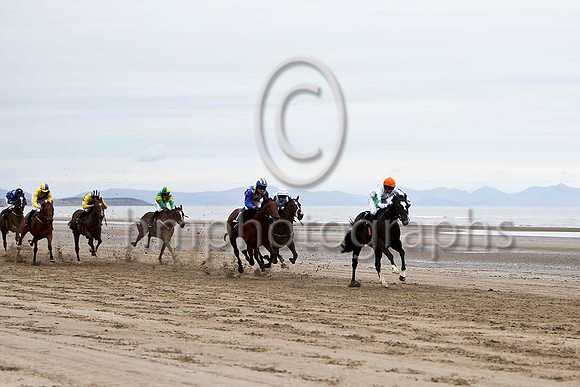 Curl Cat ,Winner in the lead, Jockey Mr M P Fogarty -FT8E4272-e2